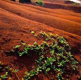 零售商透露《空之轨迹the 1st》将于9月25日发售